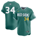 Boston Red Sox 2025 City Connect Vapor Premier Limited Jersey V3 - All Stitched - Men, David Ortiz
