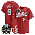 Men's Arkansas Razorbacks 2025 World Series Vapor Premier Limited Jersey - All Stitched