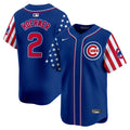 Men's Chicago Cubs Blue Alternate Vapor Premier Limited Jersey - All Stitched - Pinstripe, Team