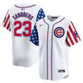 Women's Chicago Cubs Blue Alternate Vapor Premier Limited Jersey - All Stitched - Blue, Kyle Tucker