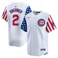 Men's Chicago Cubs Blue Alternate Vapor Premier Limited Jersey - All Stitched - White, Team
