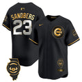 Men's Chicago Cubs Illinois Patch Vapor Premier Limited Jersey V2 - All Stitched - Black Gold, Ryne Sandberg
