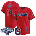Men's Cleveland Indians 2024 AL Central Division Champions Vapor Premier Limited Jersey - All Stitched - Red, Larry Doby