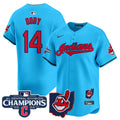 Men's Cleveland Indians 2024 AL Central Division Champions Vapor Premier Limited Jersey - All Stitched - Light Blue, Larry Doby