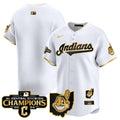 Men's Cleveland Indians 2024 AL Central Division Champions Vapor Premier Limited Jersey - All Stitched - White Gold, Team