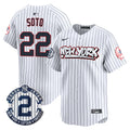 Men's New York Yankees Graffiti Vapor Premier Limited Jersey V2 - All Stitched - Pinstripe, Juan Soto
