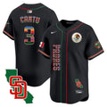Men's Padres Mexico California Patch Vapor Premier Limited Jersey V2 - All Stitched - Black, Jorge Cantu