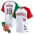 Men's Padres Mexico California Patch Vapor Premier Limited Jersey V3 - All Stitched - Alternate, Tony Gwynn