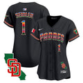 Women's Padres Mexico California Patch Vapor Premier Limited Jersey - All Stitched - Black, Peter Seidler